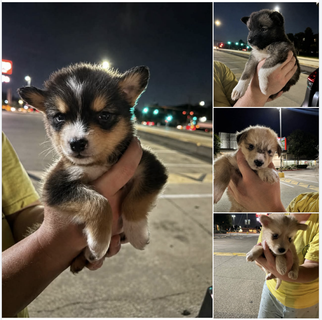 These Babies Need Help