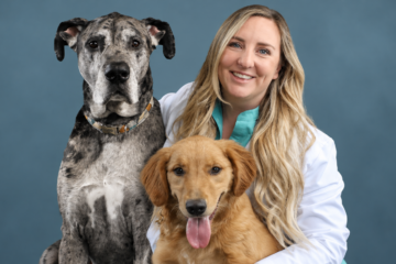 CityVet Oak Lawn Cared for Giorgio. And for Me.