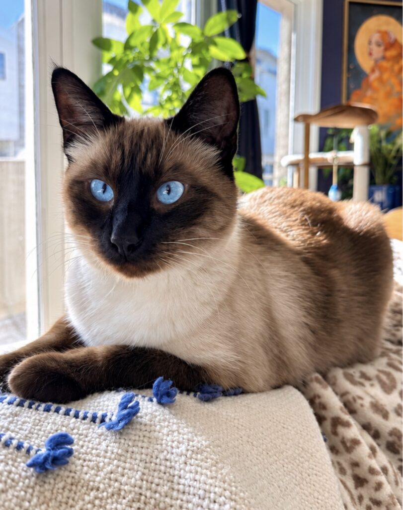 Nimbus
